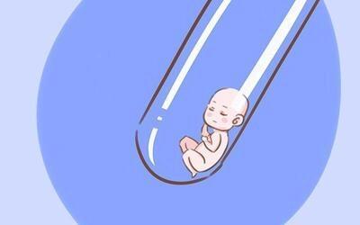 专业同性供卵助孕收费标准